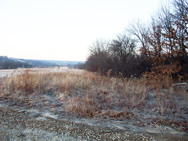 BR02A - Proposed South East Access Road to the Rest of the Site - Country Residence - Bowling Green, Missouri, USA