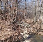 BS16 - Creek in North Meadow Below East West Ridge