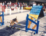 Welsh Terrier - Agilty - Baxter Performing Agility at City Hall