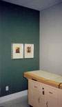 W.F. Heartwell Archietct - New Treatment Room - Surgeon's Office - Windsor, Ontario - 1998