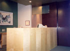 W.F. Heartwell Archietct - New Reception Desk - Surgeon's Office - Windsor, Ontario - 1998