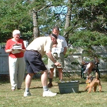 WWWG - Baxter at the Welshie Olympics